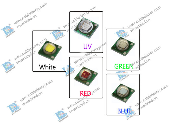 1W - 3W 3535 SMD LED 다이오드, 크리 사람 칩 700mA 고성능 XP-E UV IR LEDs